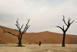 Namibia_August (60/135)